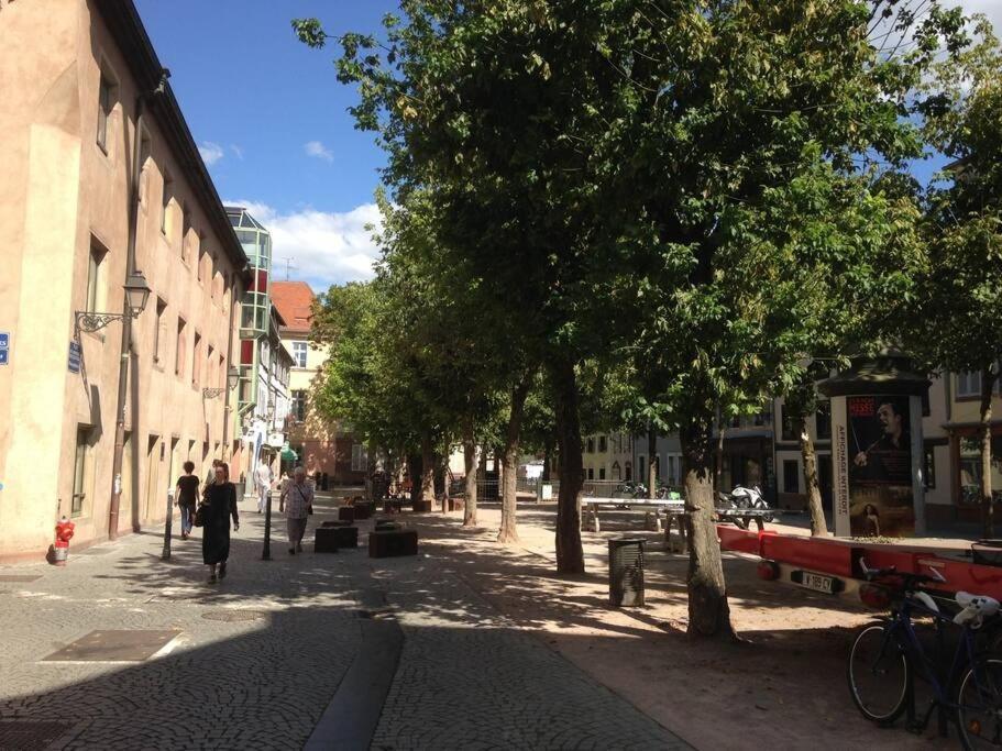 Petite Austerlitz Lägenhet Strasbourg Exteriör bild